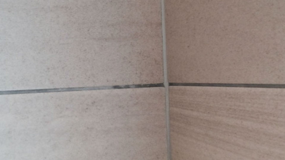 Efflorescence on tile grouts Weber UK