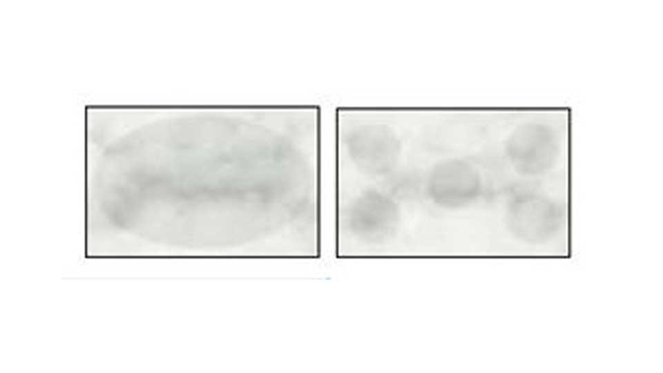 Adhesives may shadow through light coloured tiles Thumbnail