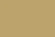 Desert Fatigues