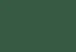 Jungle Green