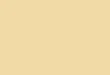 Ocre Rose