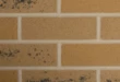 Antique Buff brick with Cotswold pointing mortar