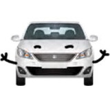 Electric Vehicle