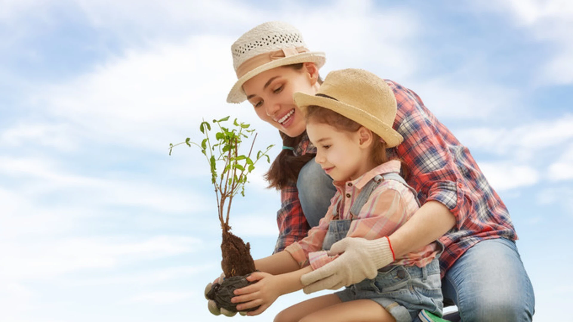 Top tips to improve indoor air quality and reduce pollution