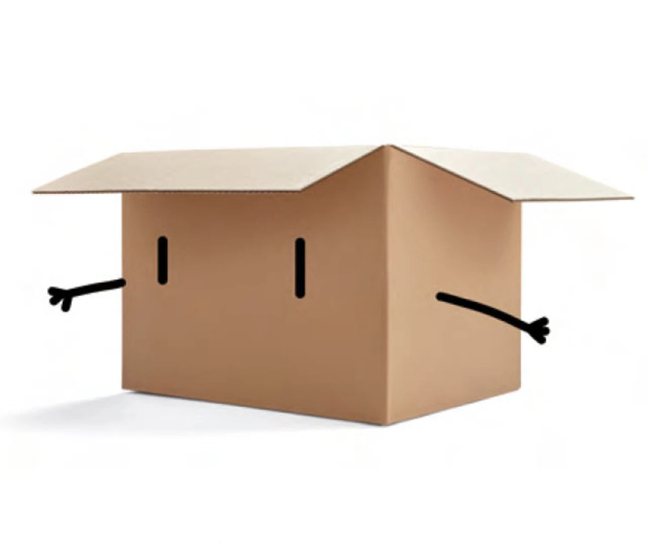 Cardboard