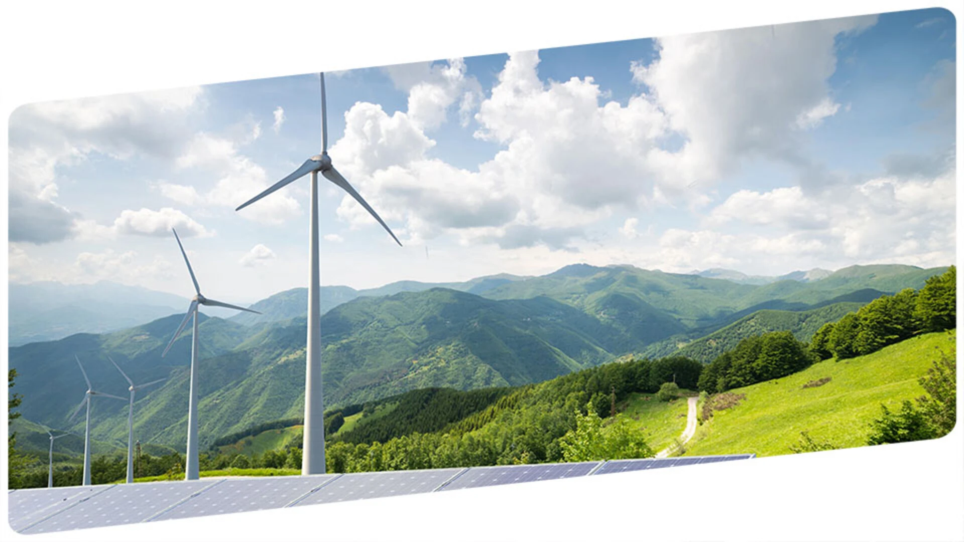 Brand value: Sustainability