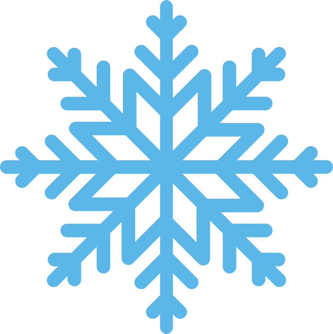Frost