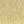 Parchment