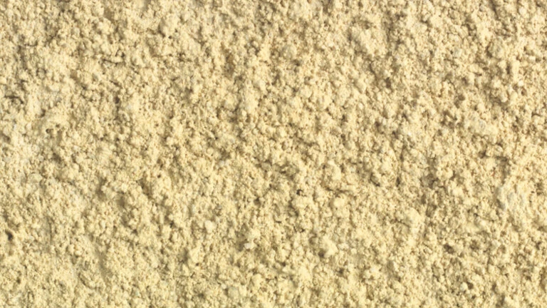 Parchment