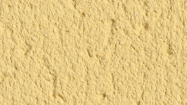 Parchment