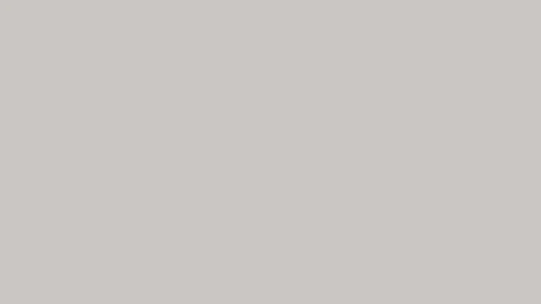 Ice Grey 