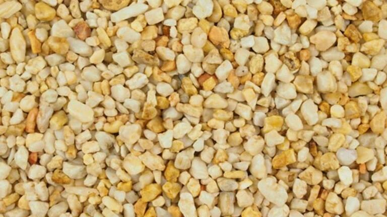 Barleycorn