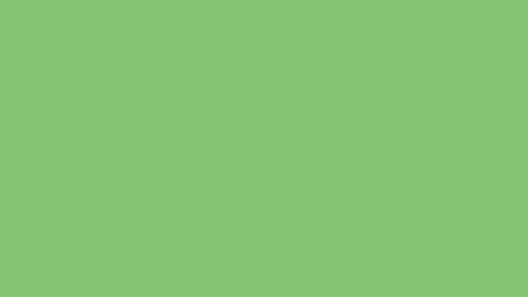 Lime Fizz