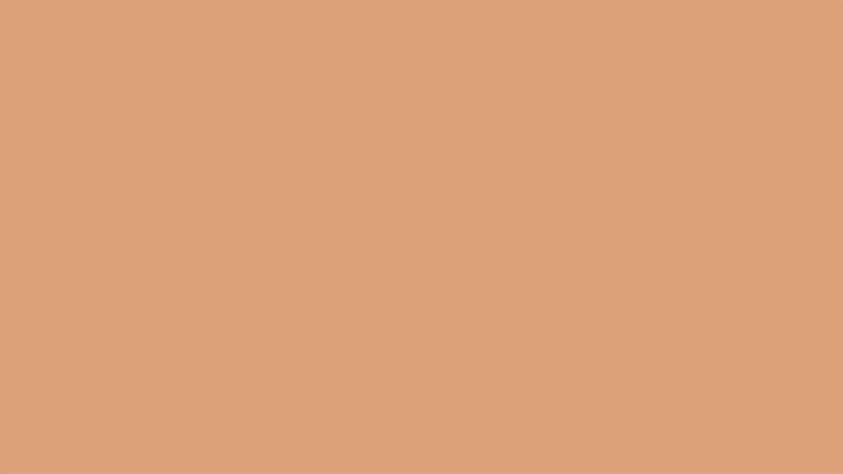 Velvet Foundation