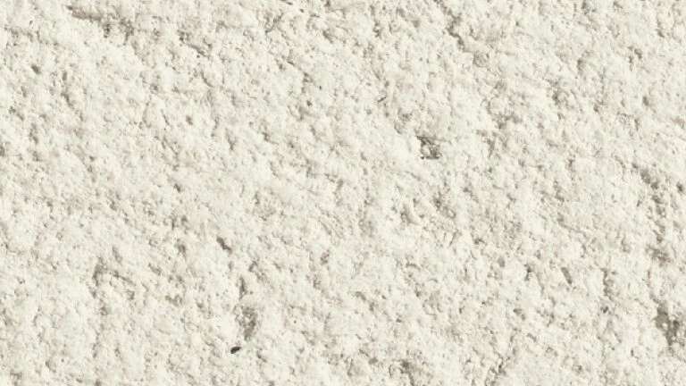 Silver Pearl