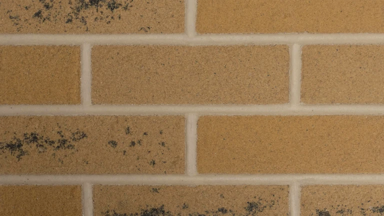 Antique Buff brick with Cotswold pointing mortar