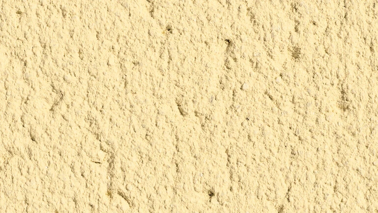 Parchment