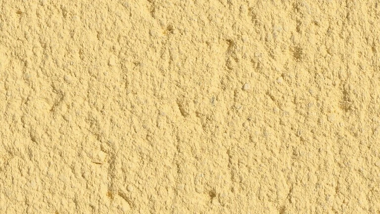 Parchment pral M