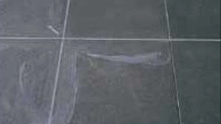 Tiles may be susceptible to staining
