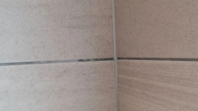 Efflorescence on tile grout