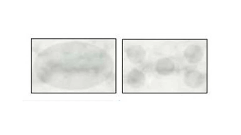 Adhesives may shadow through light coloured tiles