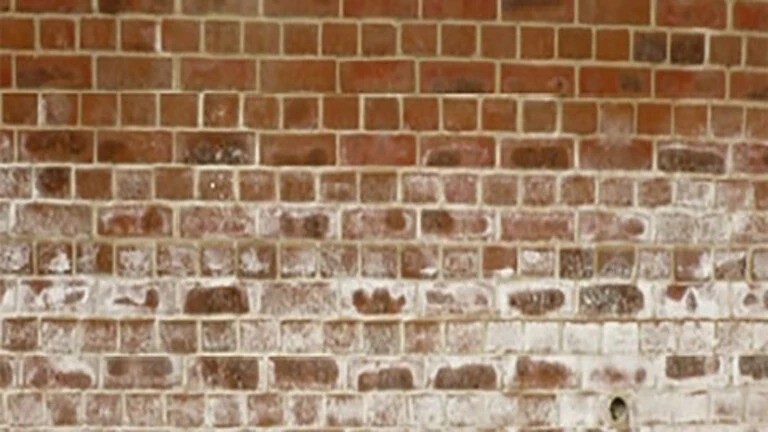 Lime bloom (or efflorescence) on brick wall