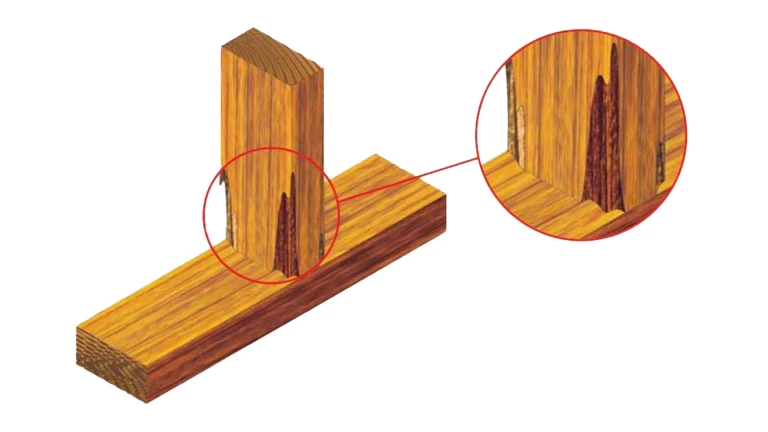 Bad construction may lead to rot